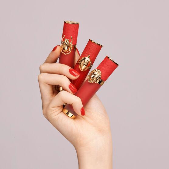 HERRERA    LION CASE     ACCS CASE